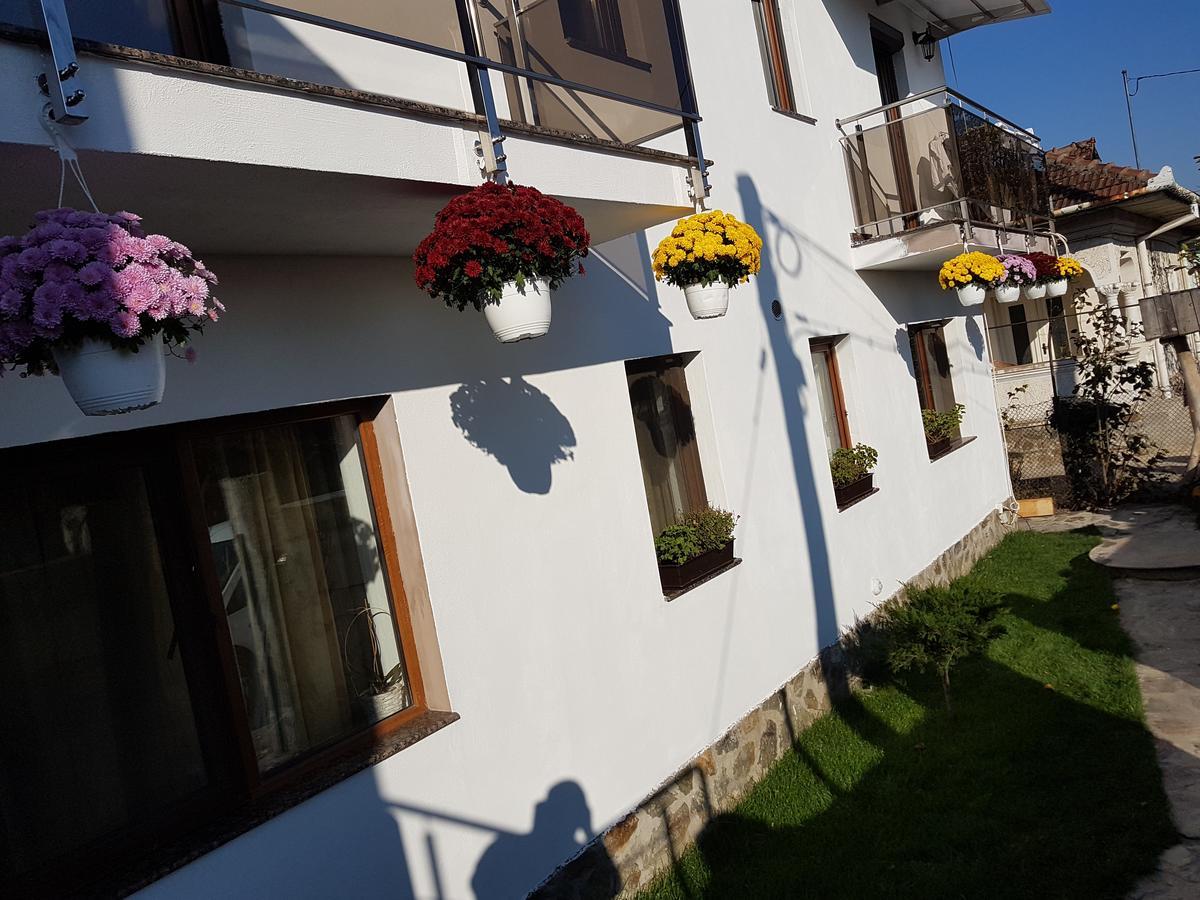 Casa Davison Διαμέρισμα Târgu Jiu Εξωτερικό φωτογραφία